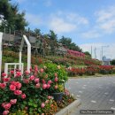 장일공업사 이미지