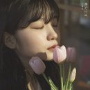 좋은나라 이미지