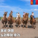 몽골 여행 후기 노라투어 기념품 선물 리스트 추천