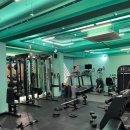 테라피티 이미지