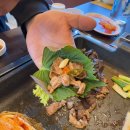 이천두농장 네이버블로그