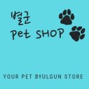 강이네펫샵 이미지