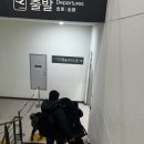 아시아나OZ8971 오후 15:00시 비행기 탑승 후기, 30K 편한자리 추천,A330-300,242배열,아시아나 제주행...