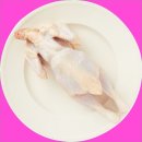 제일생닭 - 경산시 | 제일생닭