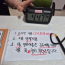 [울산 장생포 키즈카페] 웰리키즈랜드, 비오는날 15개월 아기랑 안전하게 놀다 온 찐후기