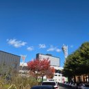 GS25 강릉운동장점 이미지