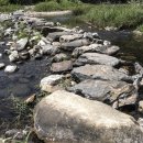 징검다리 이미지