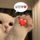 에브리모닝 이미지