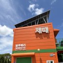세종·대전 근교 블루베리 체험 후기｜아이와 함께 다녀온 블루베리 제때협동조합
