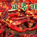 온정담