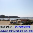 [충남당진] 당나루물꽃승마마을캠핑장 / 부녀캠핑 / 낚시&캠핑할수있는곳! 이미지