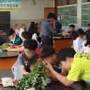 원일초교 매일일보