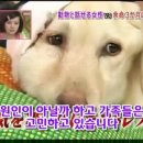 하이디 - 동해시 평원5길 10-4 | 하이디