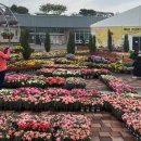 거창-거창-6 이미지