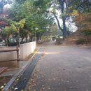 삼작로423번길 이미지