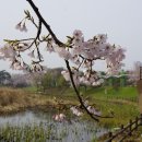 안산 화랑유원지 이미지