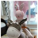 목마송이 이미지