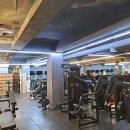 머슬팩토리 하단점 이미지