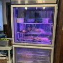 썬 미장 | 군산맛집 현지인 추천 미장고깃집 삽겹살 회식장소 추천
