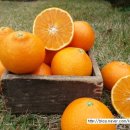 현승농장 이미지