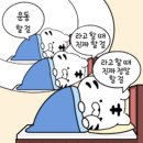 로로필라테스 - 달성군 달구벌대로 864 | 로로필라테스