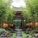 더쉐프PC 카페 이미지