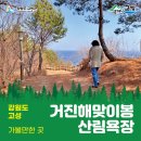 거진해맞이봉산림욕장