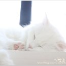 나비호텔 이미지