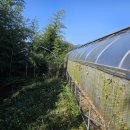 응달농장 이미지