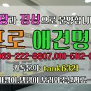 댕댕이 애견샵 이미지