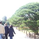 무주시장(반딧불장터) 이미지