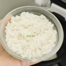 전용용기 | 글라스락 렌지쿡 냉동밥 보관 전용 햇밥 용기 사용 후기