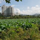 청수호수공원 이미지