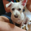 래온동물병원 이미지