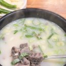 개미식당 : 대구 불로시장 근처 돼지국밥 맛집, 살코기국밥 주문 후기