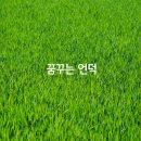 꿈꾸는 언덕 Daum카페