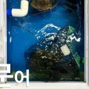 은비수산 이미지