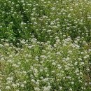 지하철역사(월드컵경기장역) 이미지