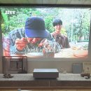 스테이 혜오(stay HYEO) | 아기랑 여행 전주 감성 숙소 ' 스테이 혜오' (Stay Hyeo) 후기