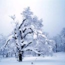 무지개크리닝 이미지