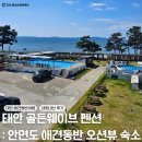 골든웨이브키즈&가족수영장오션뷰 | 태안 애견동반 숙소 골든웨이브펜 : 수영장 있는 오션뷰 안면도 펜션