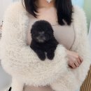 댕스마일 이미지