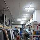 개미세탁 이미지