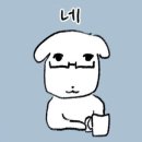 보고피드 이미지