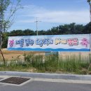 경주초등학교 이미지