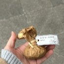 세븐일레븐전주산단행복점 | 나 혼자 전주