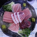 The참치 이미지