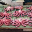 인성수산 이미지