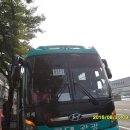 유일하계