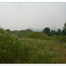 팔공산올레길 6코스 이미지